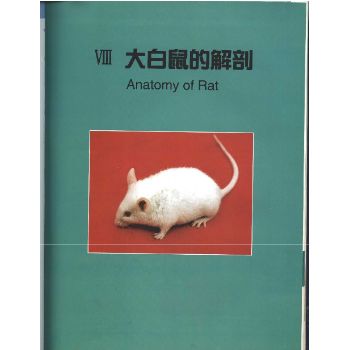 大鼠解剖图谱
