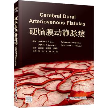 硬脑膜动静脉瘘（美）布拉德利·A.格罗斯2024_9787523604724
