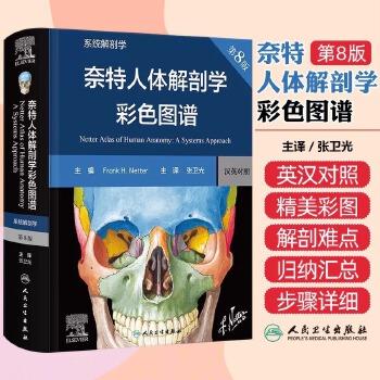 奈特人体解剖学彩色图谱：系统解剖学.第8版（美）弗兰克·奈特2023P879_9787117354110
