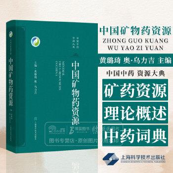 中国中药资源大典：中国矿物药资源_黄璐琦2024P505_9787547857816电子版